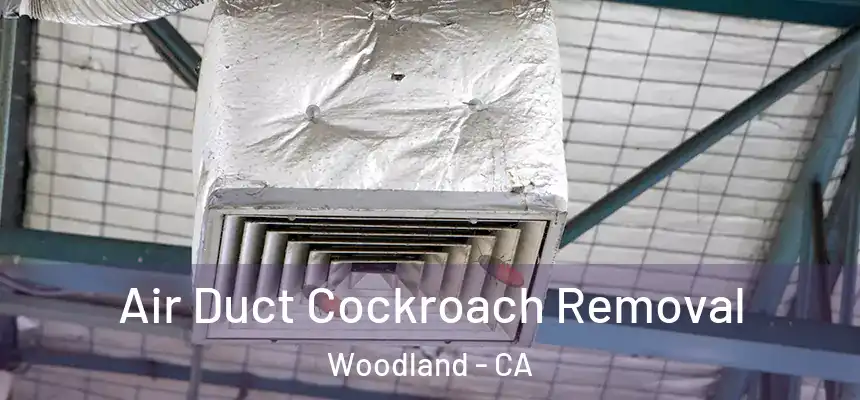  Air Duct Cockroach Removal Woodland - CA
