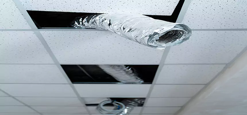 Our Air Duct Pet Hair Removal Services in Woodland, CA