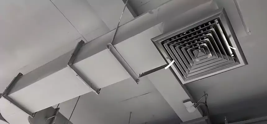 Restorative Allergy Relief Vent Cleaning – Coil, Blower & Housing Detail in Woodland