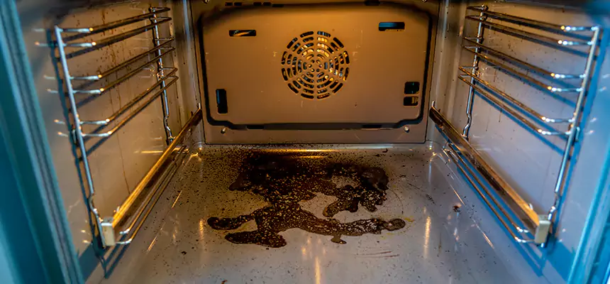 Our Dryer Vent Mold Cleaning Services in Woodland, CA