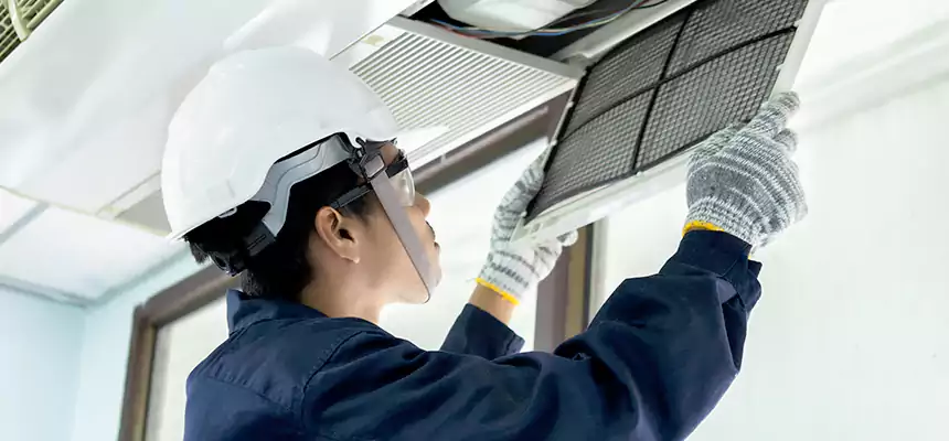 Our Mold & Mildew Removal from Air Ducts Services in Woodland, CA