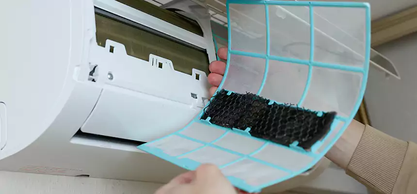 Gentle Ductwork Odor-Control Pet Dander Duct Cleaning in Woodland, CA