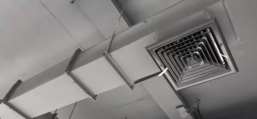 Our Rodent Droppings In Vents Services in Woodland, CA