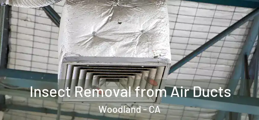  Insect Removal from Air Ducts Woodland - CA
