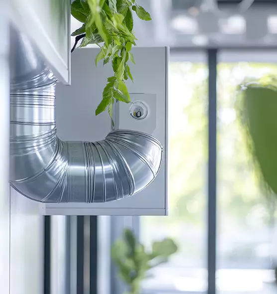 Professional Eco-Safe Dryer Vent Cleaning in Woodland, CA