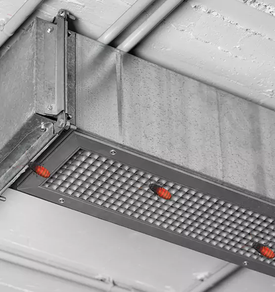 Affordable Insect Removal from Air Ducts in Woodland, CA