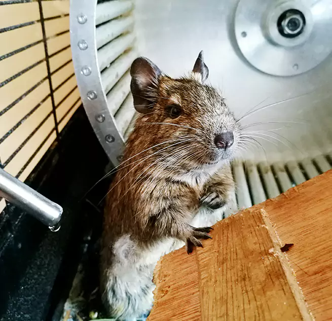 Why Homeowners & Businesses Trust Us Woodland, CA