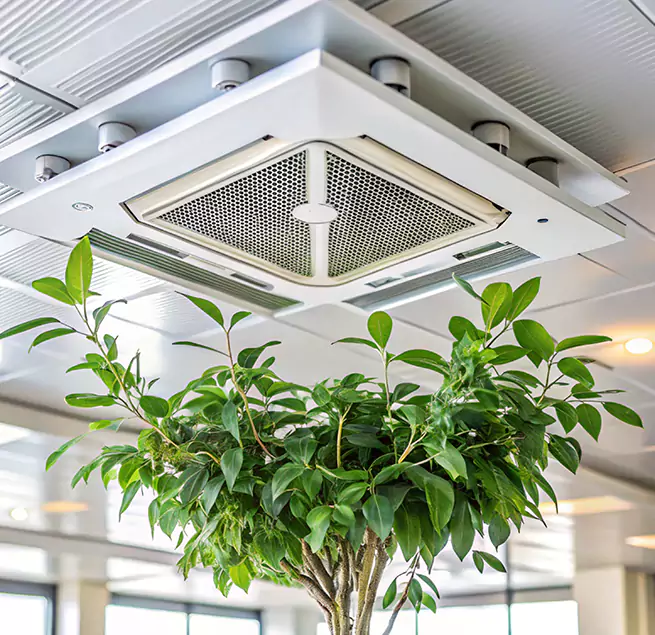 Why Homeowners & Businesses Trust Us in Woodland, CA?