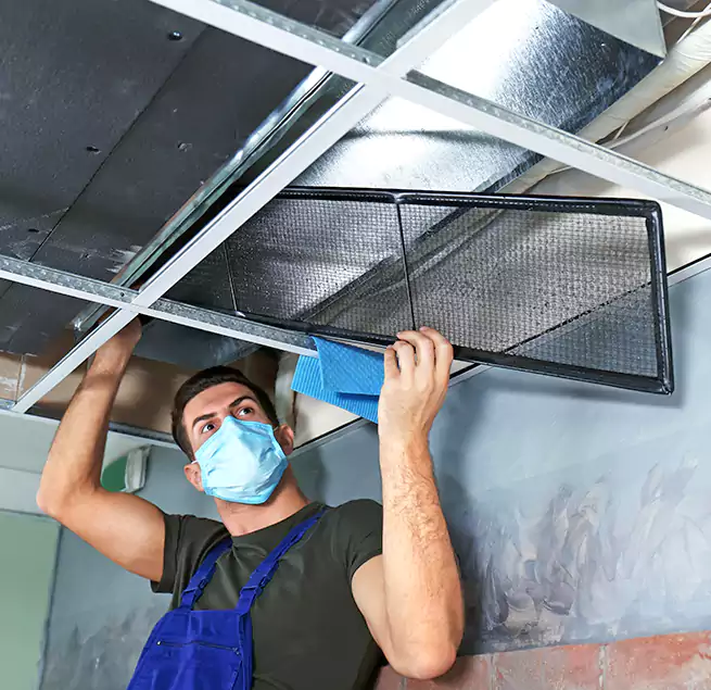 Why Homeowners Businesses Trust Us in Woodland, CA